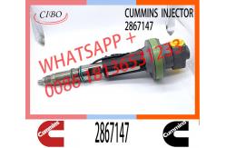 China Marine Diesel Engine QSK19 QSK38 QSK60 Fue Injector 2867147 F00BJ00001 supplier