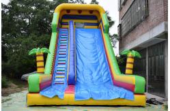 China Simple Large Inflatable Dry Slide / Bright Colour Palm Tree Slides supplier
