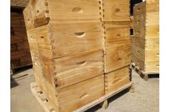 China Langstroth Style Wooden Beehive Equipment for Beekeeping and Apiculture supplier