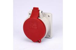 China Screwed Terminals IP44 5P 16a 400v 6h Panel Mounted Socket supplier