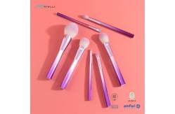 China Premium Synthetic Fiber Travel Makeup Brush Set 6pcs Smooth Touch Lint Free supplier