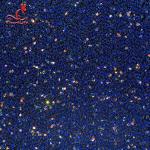 SGS Laser Sequins Shinny Embroidered Lace Fabric With Elastic Mesh