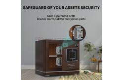 China H350mm Durable Home Safe Box Dual Alarm supplier