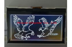 China Custom 192X64 Resolution Positive Graphic Transflective Custom LCD Display in Stock supplier