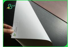 China Grade AAA 350gsm Duplex Board CCNB / Clay Coated News Back for Packaging supplier