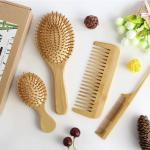 Detangling Hair Brush Set Natural Bamboo For Hair Beauty Care for sale