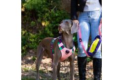 China Adjustable Reflective  Oxford Large Dog Harness Leash Set With Easy Control supplier
