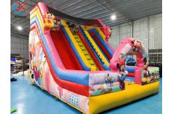 China Customized Inflatable Slide Mickey And Minnie Inflatable Double Dry Slides Castle supplier