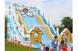 China Hot Summer Water Games, Giant Inflatable Slide In Winter Snow Style supplier