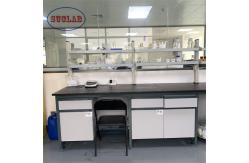 China Fixed Structure Chemistry Lab Workbench Chemical Lab Workstation Paint Surface supplier
