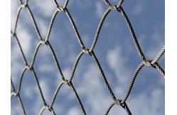 China Good Perspective Stainless Steel Cage Mesh High Strength Easy Maintenance supplier