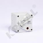 1Pole 10A IP66 Weatherproof Isolator Switch Australian standard for sale