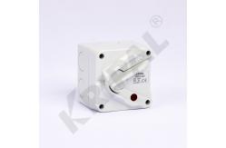 China 1Pole 10A IP66 Weatherproof Isolator Switch Australian standard supplier
