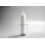 PVDF Membrane Pleated Microelectronics Filter Low Protein Absorption Rate for sale