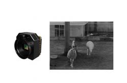 China 67g Infrared Detector 8μm-14μm Spectral Range supplier