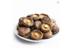 China Healthy Dry Shiitake Mushroom 1kg Smooth Surface 2 Years Shelf Life supplier