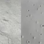 Common Issues in Waterproof Coating Application for sale