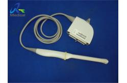 China Urology Endocavitary Ultrasound Transducer Probe Siemens EC9 4 supplier