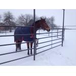 Welded 10ft X 4ft 50x50mm Metal Horse Corral Panels Heavy Duty Galvanized for sale