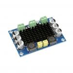 High Quality XH M542 DC 12 26V 100W TPA3116DA Mono Channel Digital Power Audio Amplifier TPA3116D2 Board for sale