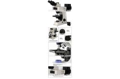 China Learning Epi - Fluorescent Light Microscope 1000x With Koehler Illumination CE A16.2602 supplier