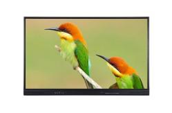 China 98 inch Smart Board Interactive Flat Panel Display with ops computer supplier