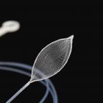Clinical Convenient Operation Endoscopic Grasping Forceps With Net