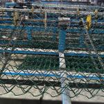 Secure Property Varying Height Metal Mesh Fence Chain Link Design for sale