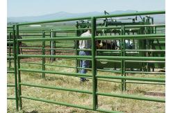 China portable pipe filled welded mesh Cattle Fence Gate supplier