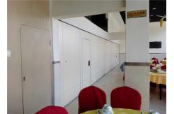 China Banquet Hall Interior Polyester Acoustic Panels Movable Partition Sound Proof supplier