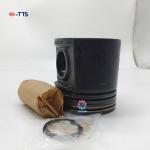 C4.4 C6.6  Diesel Engine Piston Kit 3135M111 for sale