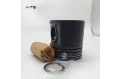 China C4.4 C6.6  Diesel Engine Piston Kit 3135M111 supplier