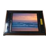 MD400F640PD5 9.8 inch 640*400 TFT- LCD  Screen Panel for sale