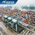 From China To UK / EU Sea Freight Forwarder FCL and LCL Import Export for sale