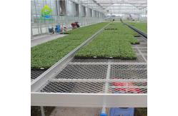 China Seedbed Plant Nursery Equipment Movable Mesh Grow Table Vegetable Planting supplier