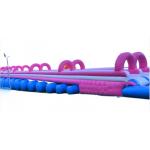 Funny Colorful Water Slide Commercial Customized Large Hippo Inflatable Water Slide With Pool For Sale for sale