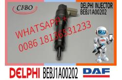 China Fuel Injector Assembly BEBJ1A05002 BEBJ1A00202 BEBJ1A05001 1905001 1846419 1905002 supplier