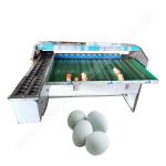 Egg Weight Sorter Machine Egg Size Sorting Machine Chicken Egg Sorting Machine for sale