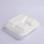Oem Biodegradable Sugarcane Bagasse Clamshell Box 9in 3 Compartment Meal Prep Containers