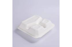 China Oem Biodegradable Sugarcane Bagasse Clamshell Box 9in 3 Compartment Meal Prep Containers supplier