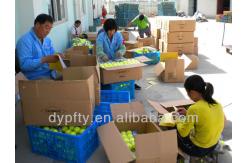 China Inflatable Jumbo Tennis Balls manufacturer
