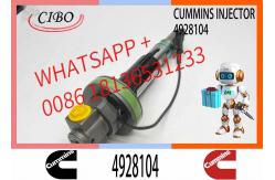 China Fuel Injector Assembly 4955526 Y431KO5199 4928104 F0OBLOJ014 F00BLOJ013 For Qsk19 Engine supplier