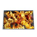 10.1 inch B101EW05 V1 LCD Screen Display Panel LVDS 40Pins 1280*800 for sale