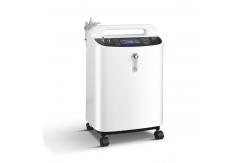 China CE Medical Care Oxygen Concentrator 10l O2 Concentrator With Dual Flows supplier
