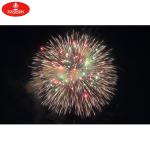 Mortar Artillery Shell Fireworks 2 3 4 Inch Fireworks Shells CE Certified for sale