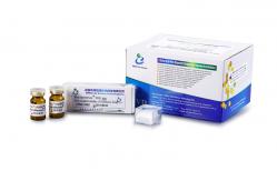 China Sperm Hyaluronic Acid Binding Assay Test Kit For Sperm Function Analysis supplier