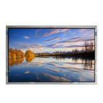 VVX31P173F00 31.0 inch WLED 1000 cd/m2 LCD Display Screen Panel for sale