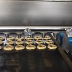 Professional Chocolate Chip Cookies Making  Machine for different shapes