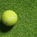 Synthetic Artificial Turf Grass For Cricket Pitch 25mm Thickness Double Backing for sale