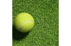 China Synthetic Artificial Turf Grass For Cricket Pitch 25mm Thickness Double Backing supplier